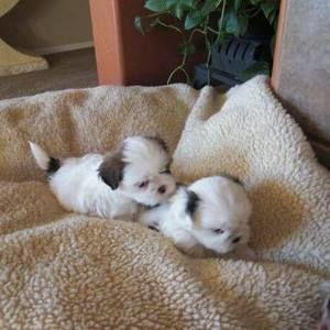 Meet your Posher, Margaret